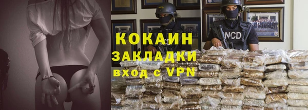 молекула духа Арсеньев