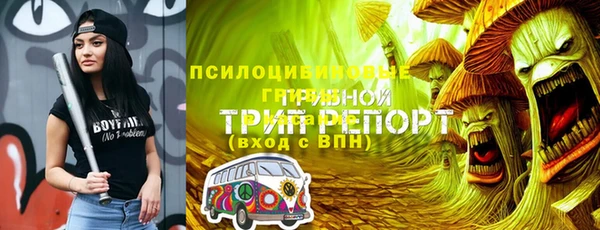 молекула духа Арсеньев